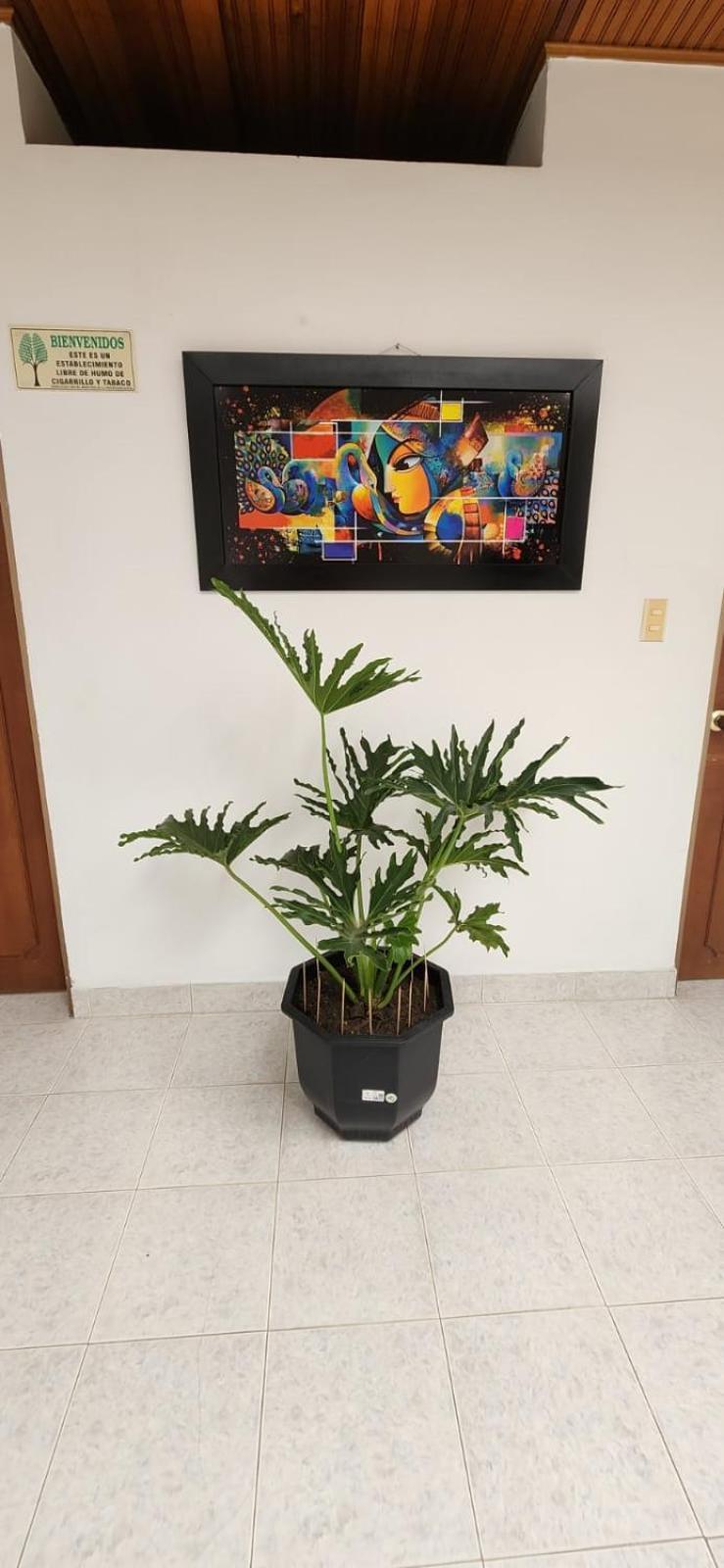Luna Verde Hotel Neiva  Zewnętrze zdjęcie